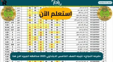 «فرحة النجاح» نتيجة الصف الخامس الابتدائي 2025 محافظة الجيزة الآن هنا